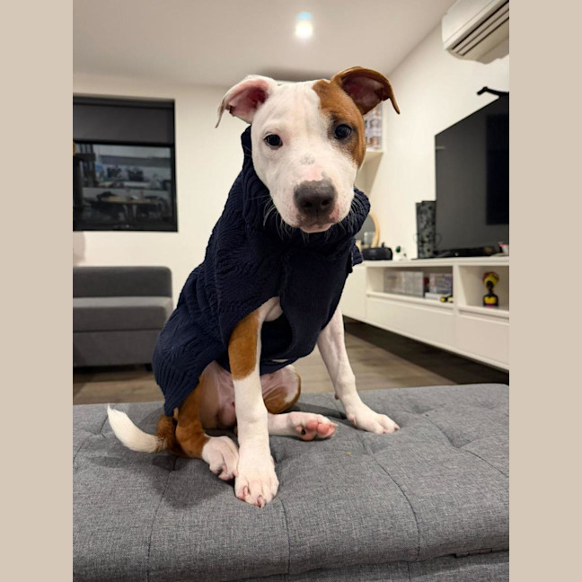 Photo of Cookie Oliver