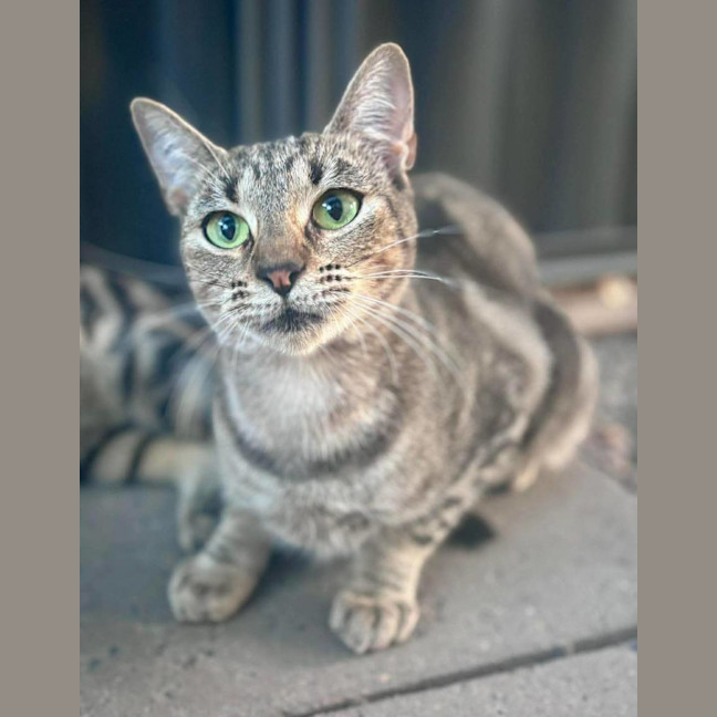 Photo of Elara