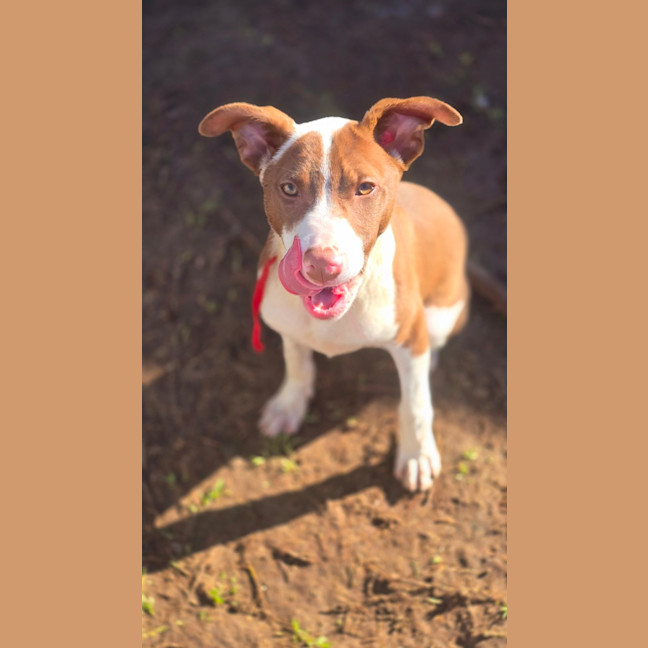 Photo of Twist