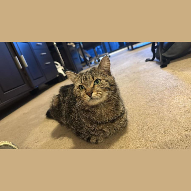 Photo of Apolo