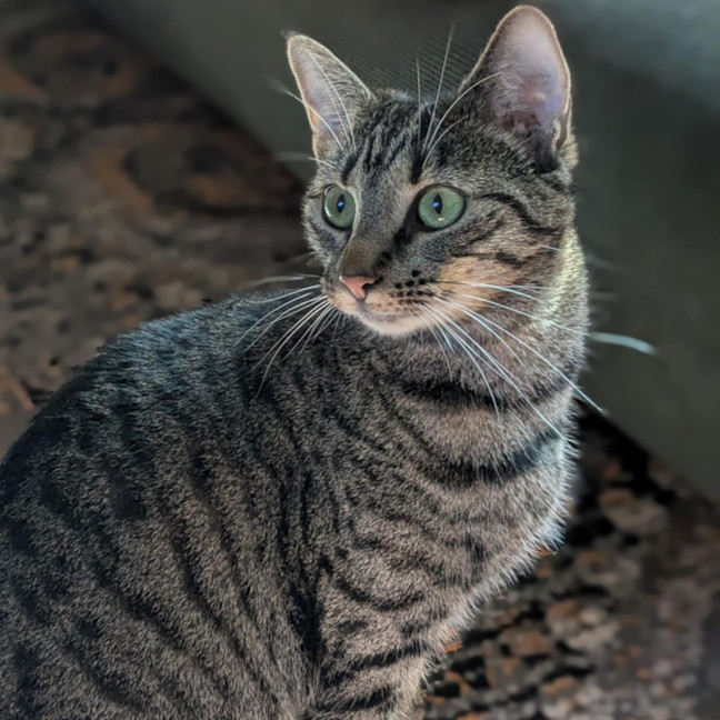 Photo of Eva   Located In Preston