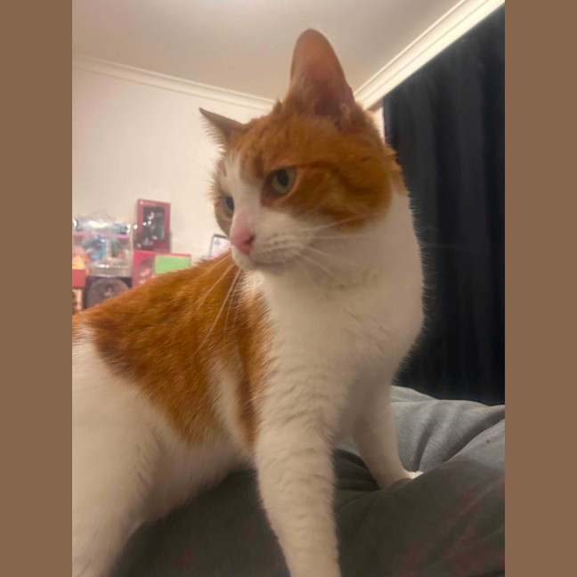 Photo of Charlie 