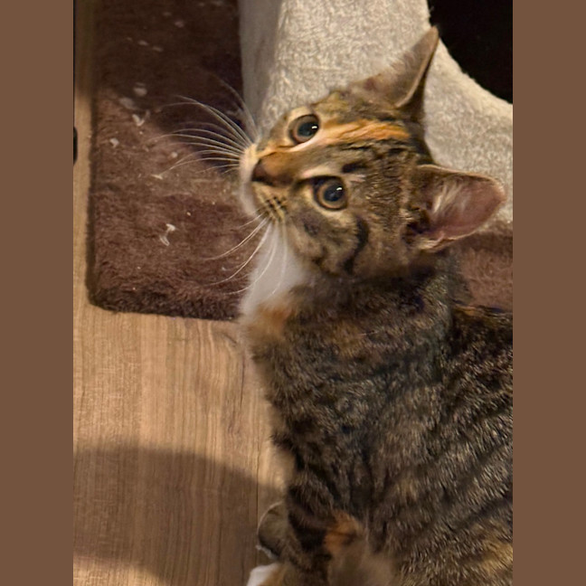 Photo of Skye