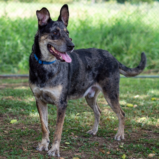 Photo of Max
