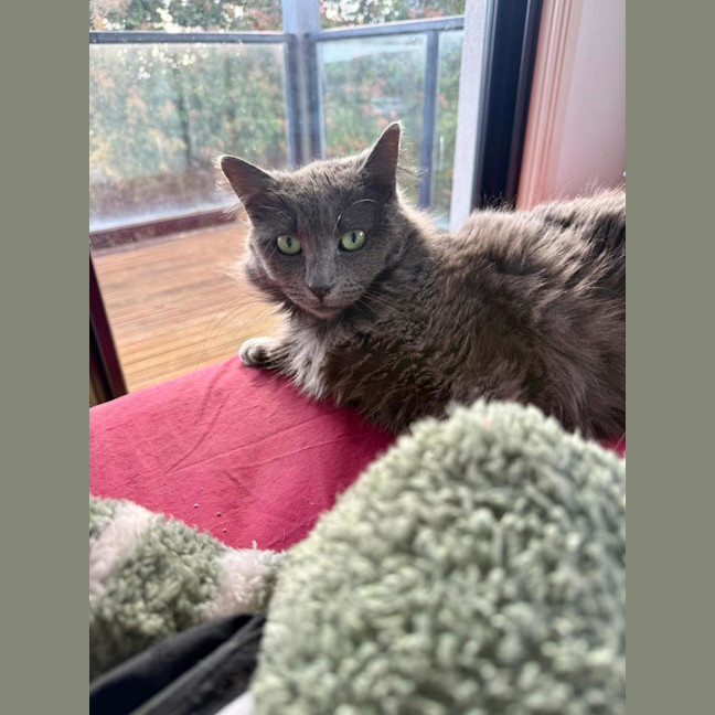 Photo of Ember