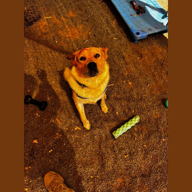 Photo of Kooch