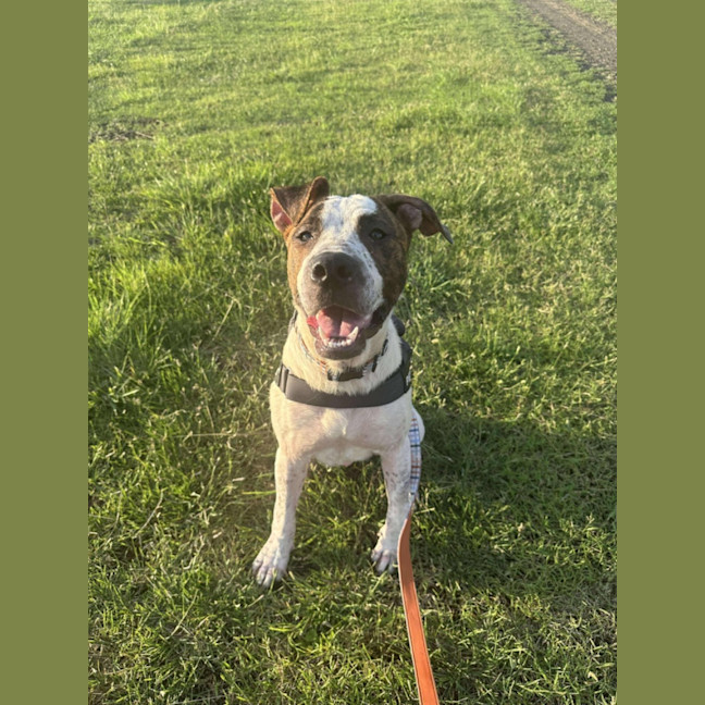 Photo of Barney