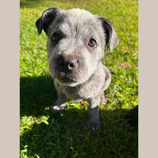 Photo of Luigi