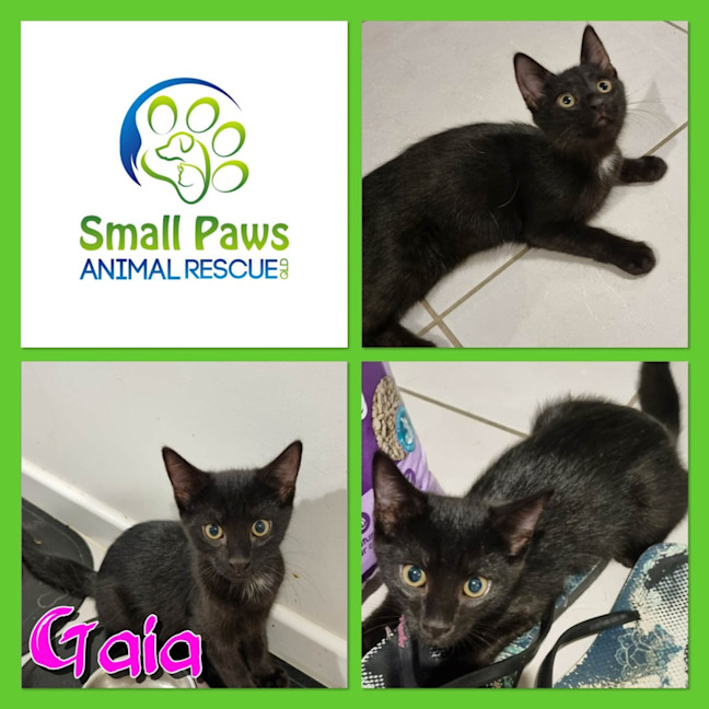 Photo of Gaia
