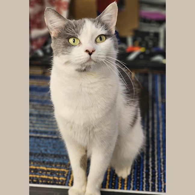 Photo of Priscilla 