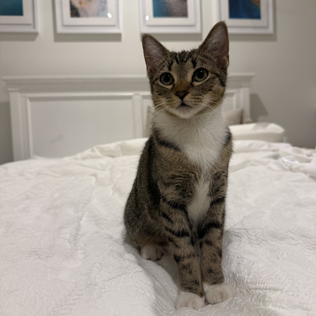 Photo of Andi