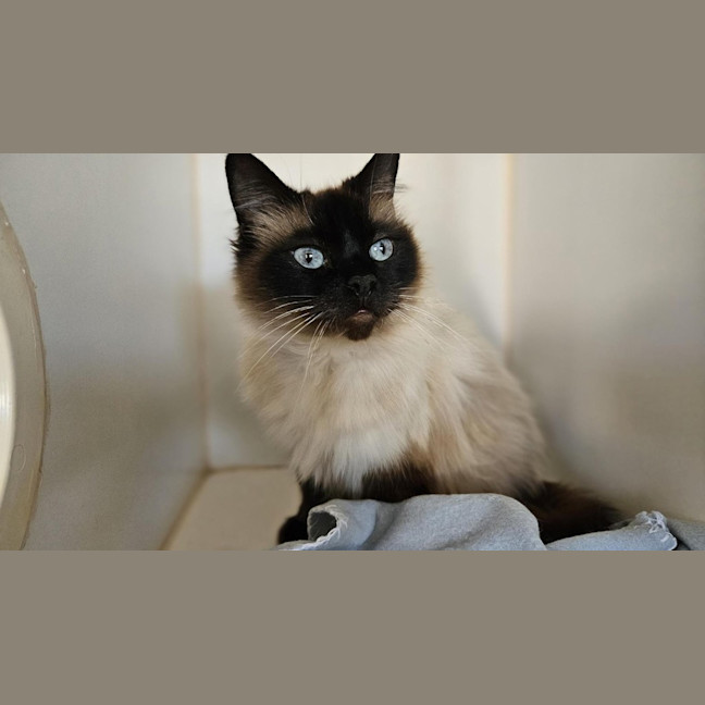 Photo of Hazel