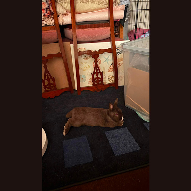 Photo of Colby
