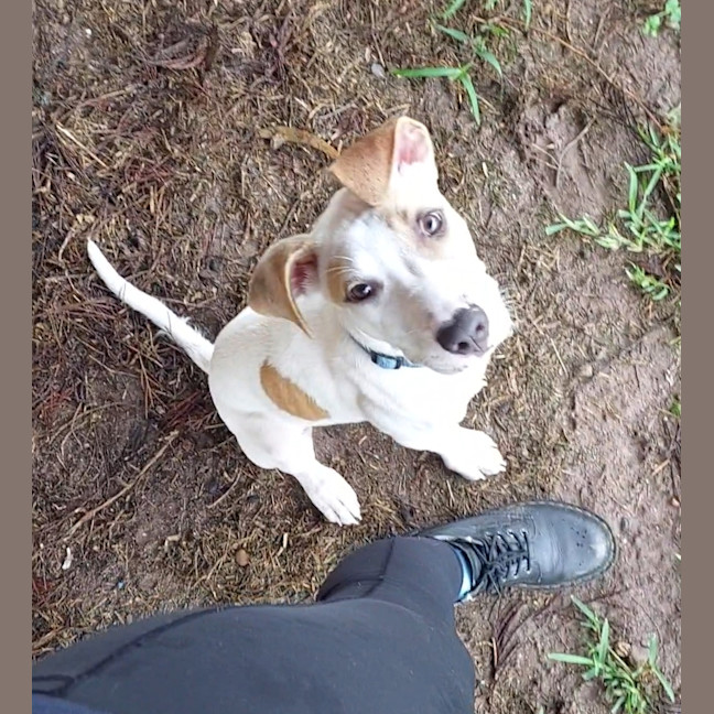 Photo of Ace