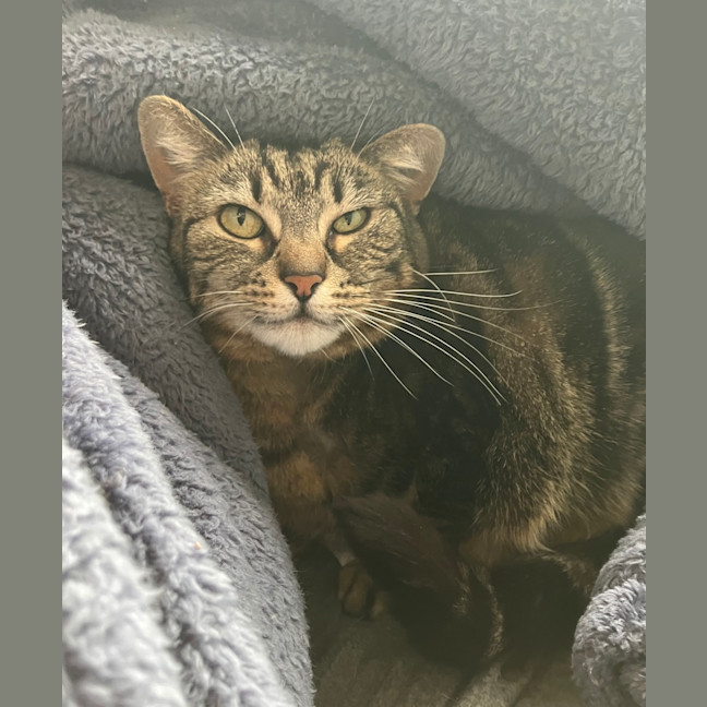 Photo of Zeus