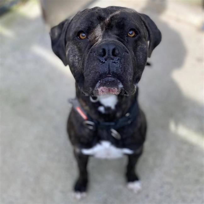 Photo of Duncan