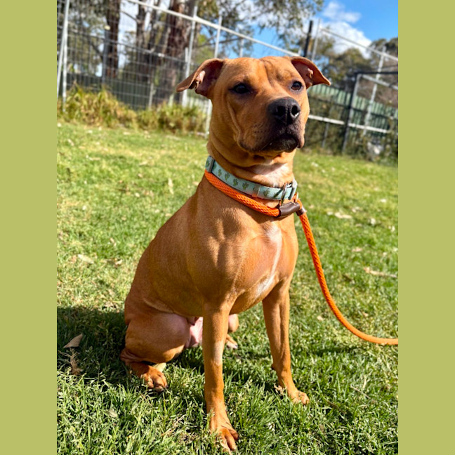 Photo of Delilah