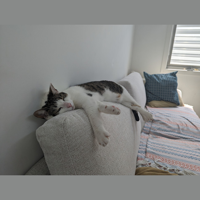 Photo of Tabitha