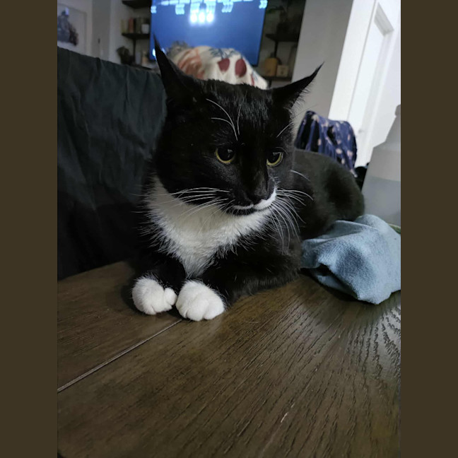 Photo of Mr Moustache