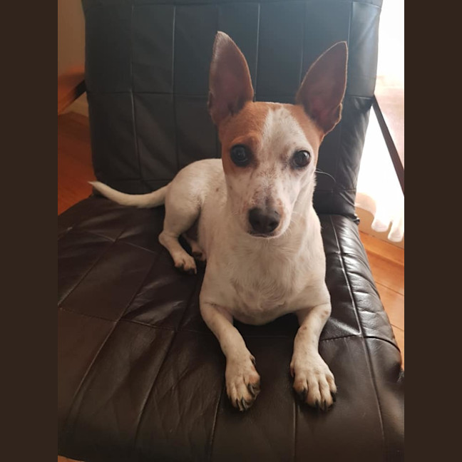 Photo of Lilly