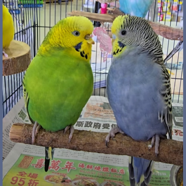 Photo of Moon Crater