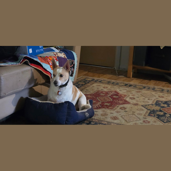 Photo of Charlie