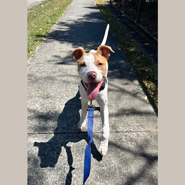 Photo of Bella