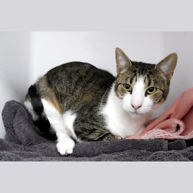 Photo of Regi Sua013863