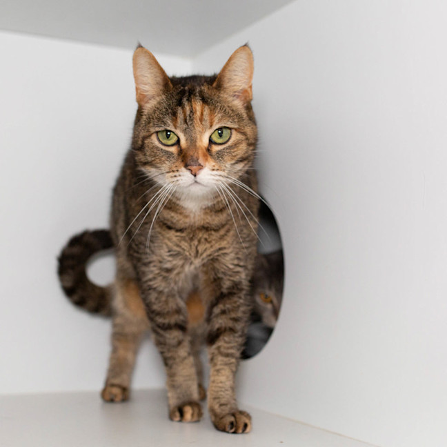Photo of Spirit 
