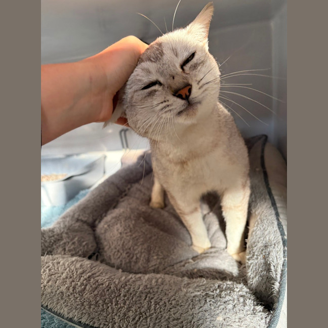 Photo of Fizz