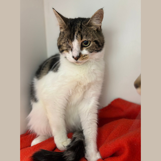Photo of Tiny