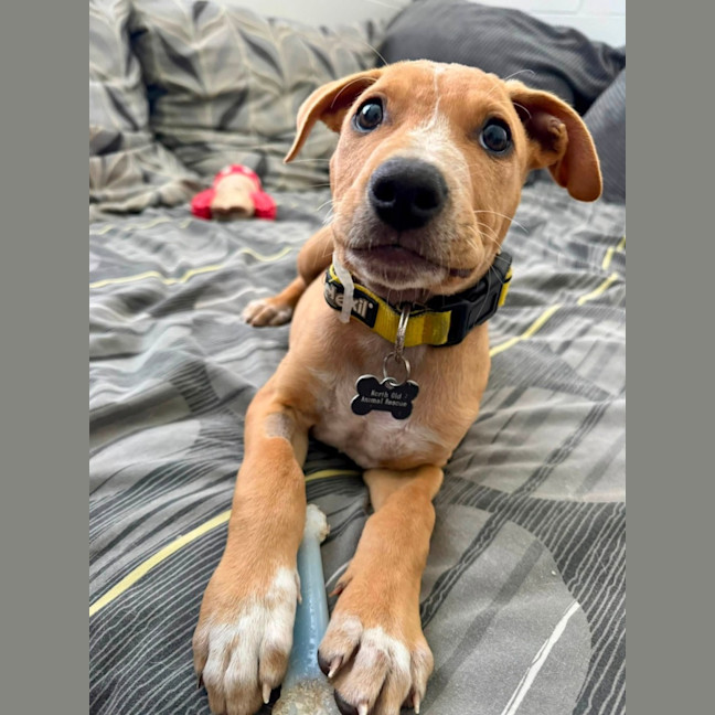 Photo of Axel