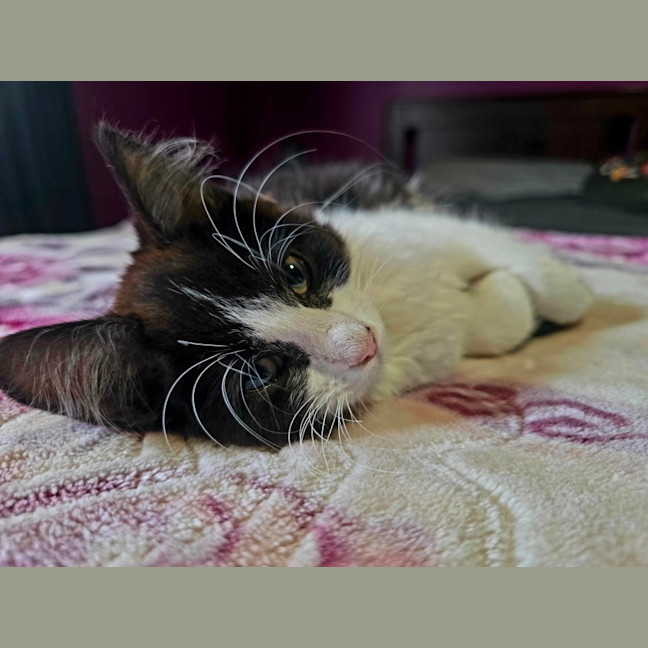 Photo of Melora