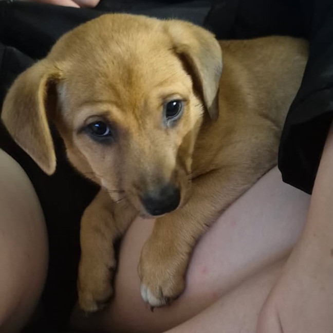 Photo of Elsie