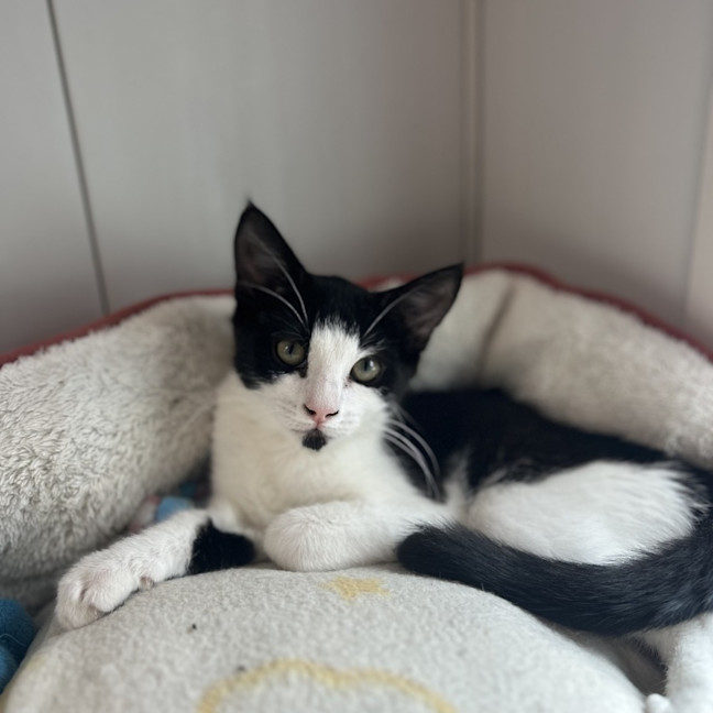 Photo of Spice
