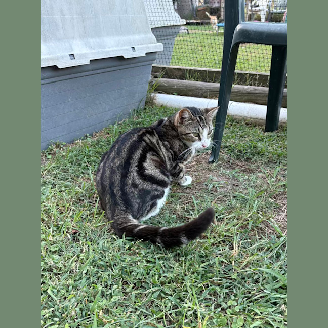 Photo of Apollo And Artemis