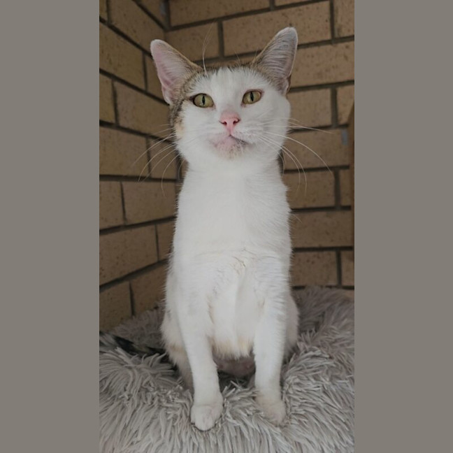 Photo of Hazel