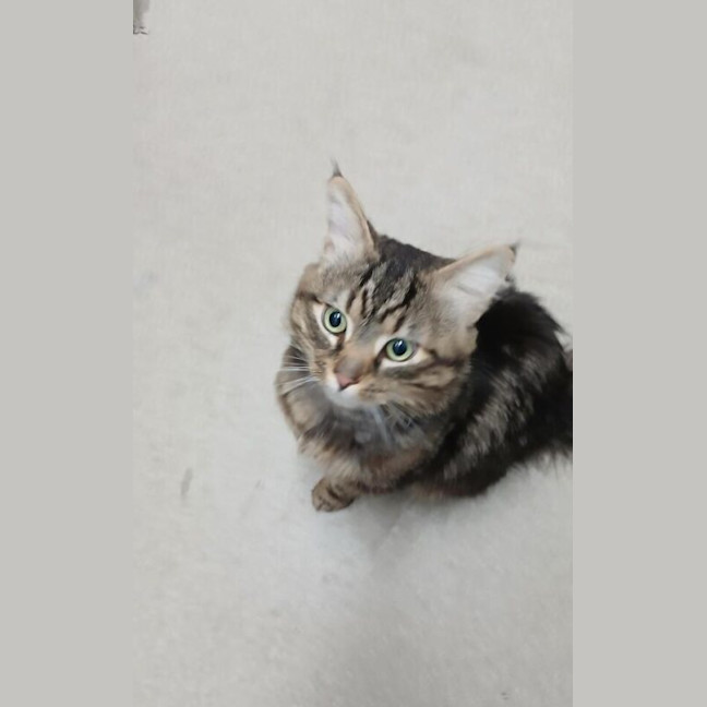 Photo of Sir Snugglepot