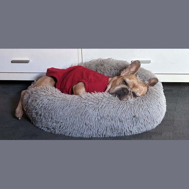 Photo of Luna Wensleydale