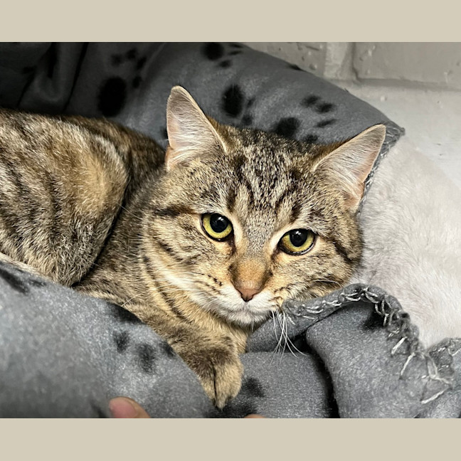 Photo of Tinkerbell