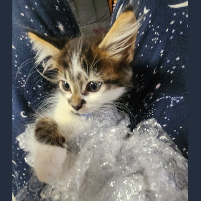 Photo of Murphy