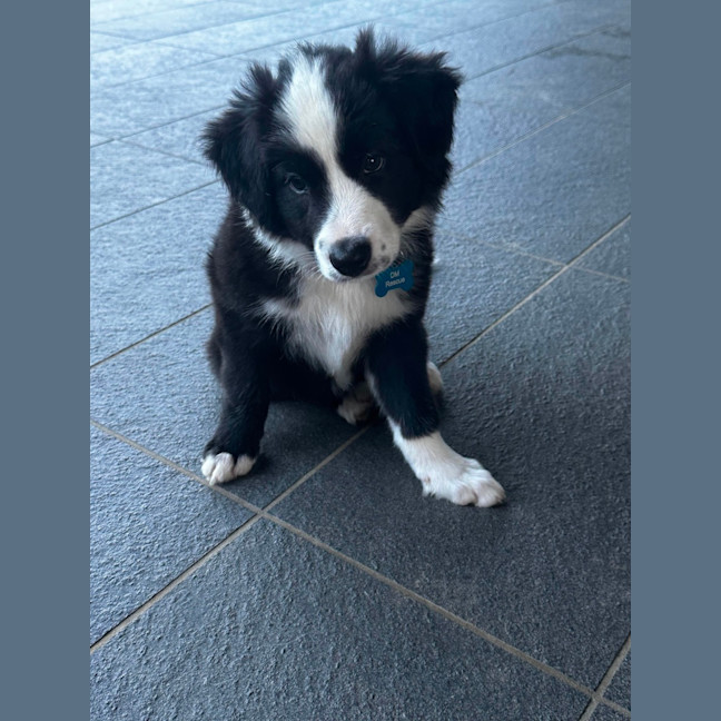 Photo of Elsa