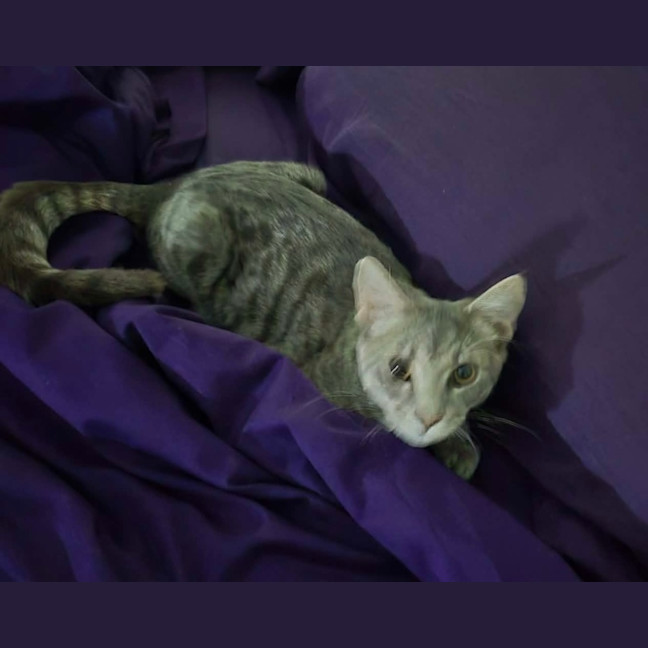 Photo of Ash 