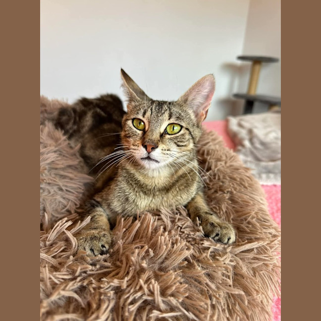 Photo of Pearl