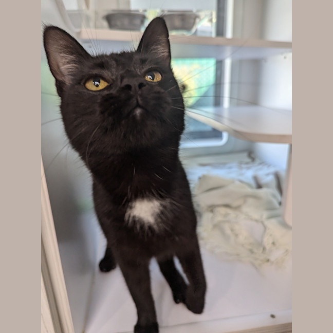 Photo of Winnie