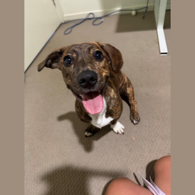 Photo of Willow Cervantes