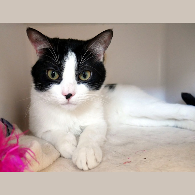 Photo of Spencer Rsta012243