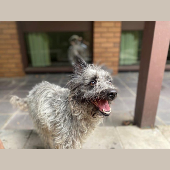 Photo of Truffles O’cleary