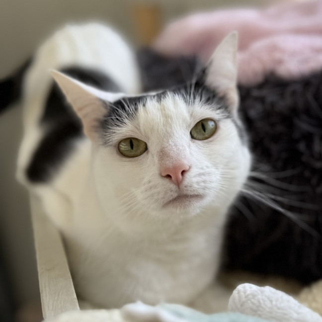 Photo of Mandy & Molly