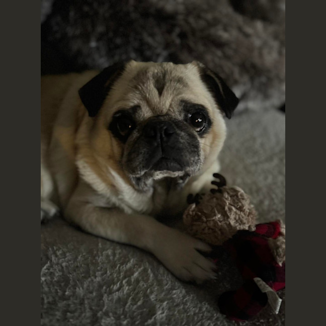 Photo of Ralph 